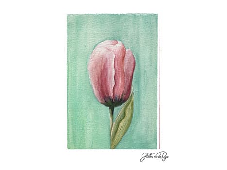 Blue tulip watercolor